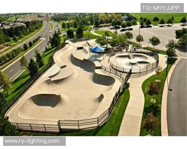 数据分析：深圳极限运动队的比赛经验表现