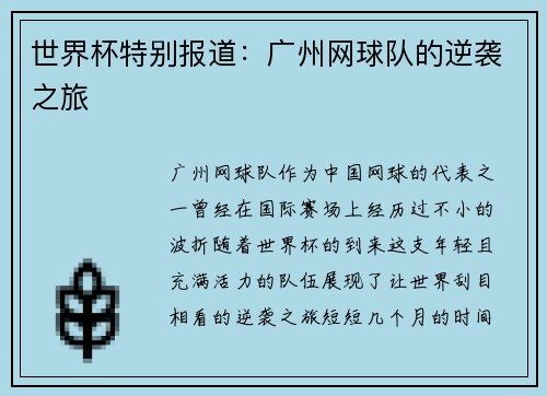 世界杯特别报道：广州网球队的逆袭之旅