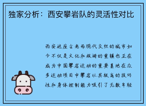 独家分析：西安攀岩队的灵活性对比